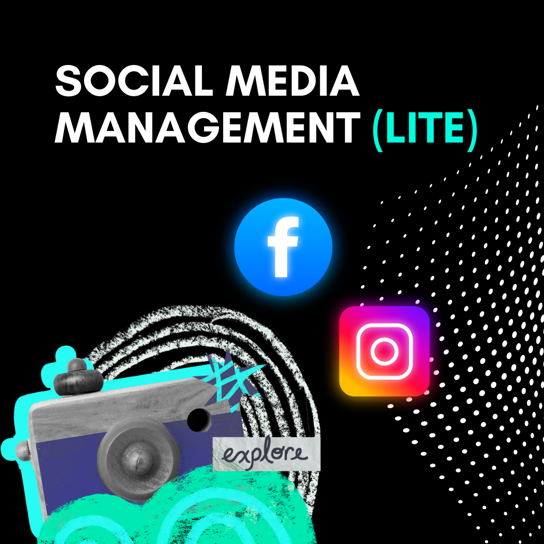 Social Media Management (LITE)